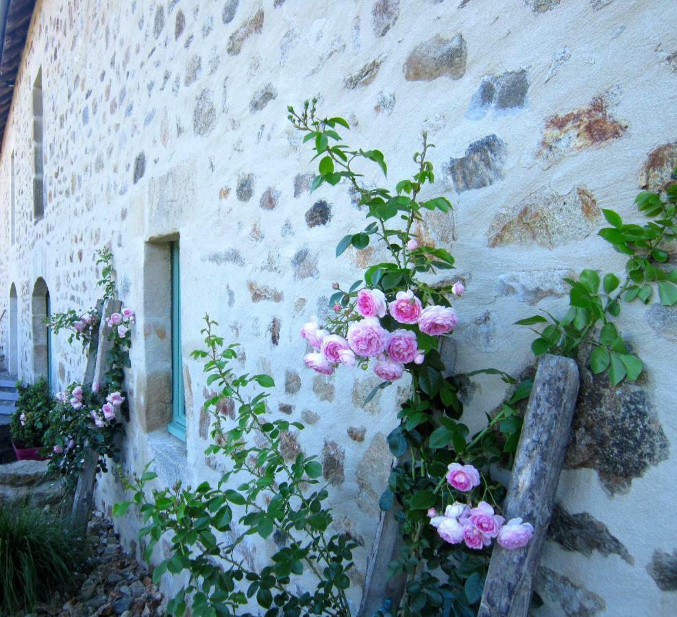 Les 5 Petits Lapins Bed & Breakfast Bar